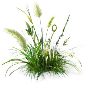 Wild Grass In Spring PNG Eoa63 PNG