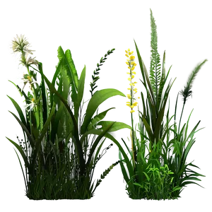 Wild Grass Meadow Png Qgp21 PNG image