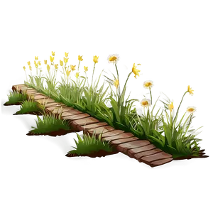 Wild Grass Pathway Png 77 PNG image