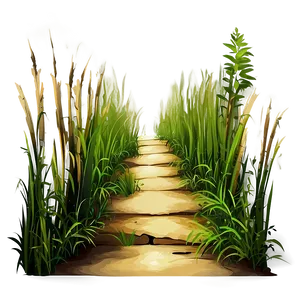 Wild Grass Pathway Png Pyl75 PNG image