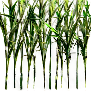Wild Grass Texture Png 85 PNG image