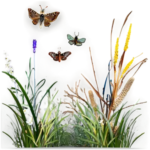 Wild Grass With Insects PNG 06292024