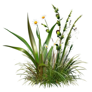 Wild Grass With Insects PNG 50