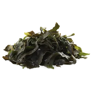 Wild Harvested Seaweed PNG 05242024 PNG