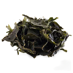 Wild Harvested Seaweed PNG Jck19 PNG