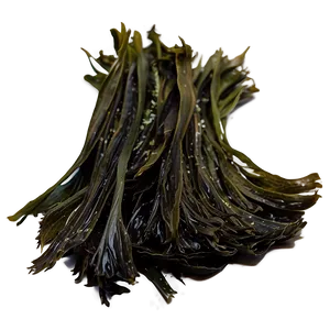 Wild Harvested Seaweed PNG Knu58 PNG