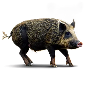 Wild Hog Png 06252024 PNG image