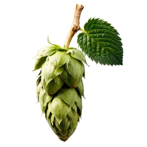 Wild Hops Discovery PNG Krb