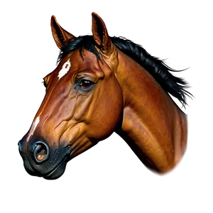 Wild Horse Head Portrait Png 06122024 PNG image