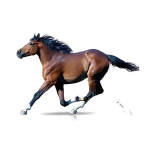 Wild Horse Race PNG 33 PNG