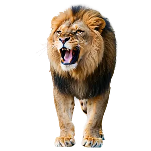 Wild Lion Roar PNG 05062024