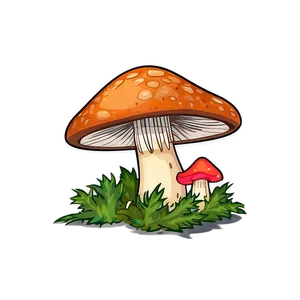Wild Mushroom Cartoon PNG 06272024