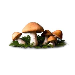 Wild Mushrooms Png Lli PNG image