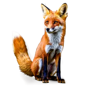 Wild Red Fox PNG Bvr PNG