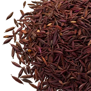 Wild Rice PNG Tod24