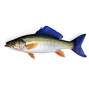 Wild River Fish Png 44 PNG image