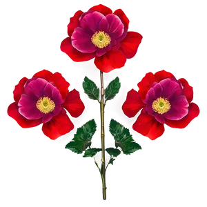 Wild Rose PNG 04292024
