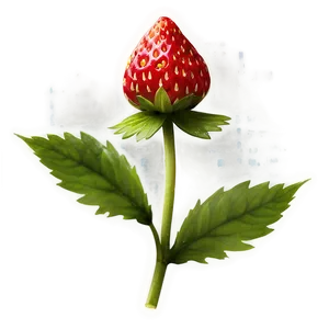 Wild Strawberry Png Yju6 PNG image