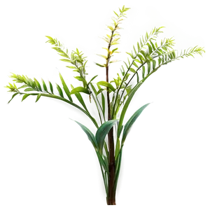 Wild Tall Plant PNG 06282024
