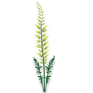 Wild Tall Plant PNG 06282024