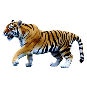 Wild Tiger Fury PNG 30