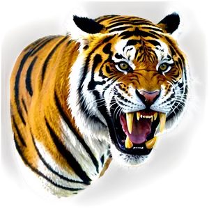 Wild Tiger Fury PNG 50 PNG