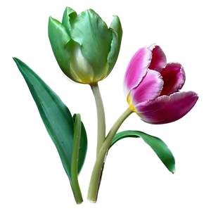 Wild Tulip Png Cgi PNG image