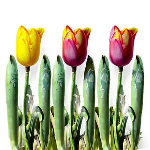 Wild Tulips Meadow Png 45 PNG image