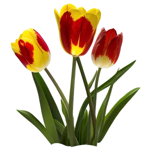 Wild Tulips Meadow Png Mqo PNG image