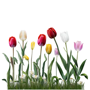 Wild Tulips Meadow Png Xux PNG image