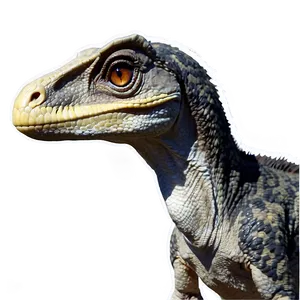 Wild Velociraptor In Nature Png Uah46 PNG image