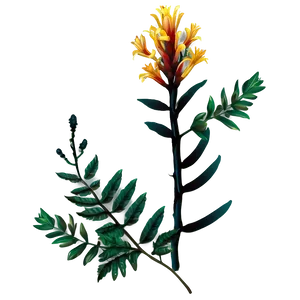 "wild Wonders: Natural Flower PNG" A