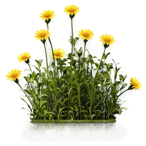 Wild Yellow Daisy Meadow PNG 06292024 PNG