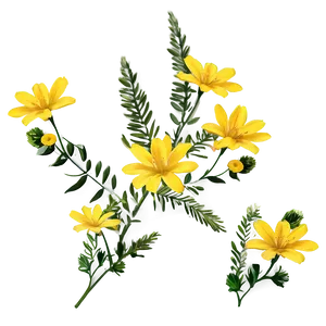 Wild Yellow Flowers Png Qyi PNG image