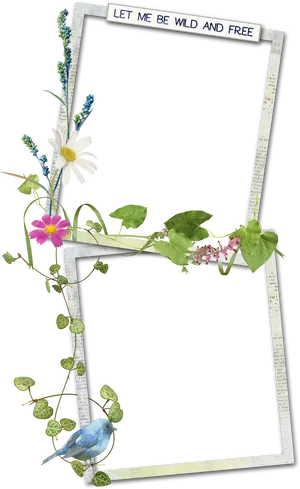 Wildand Free Floral Photo Frame PNG