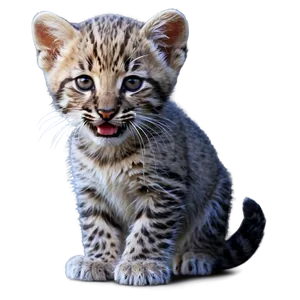 Wildcat Cub Cute Png Jsy PNG image