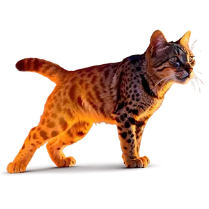 Wildcat In Fiery Background PNG 06132024 PNG