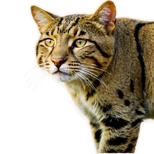 Wildcat In Nature Png 91 PNG image