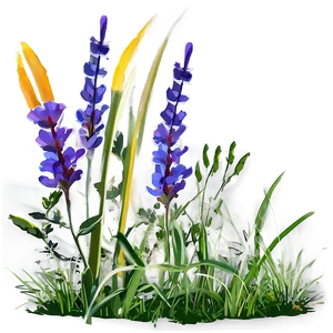 Wildflower And Grass Png 04292024 PNG image