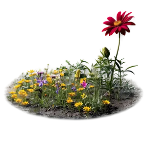 Wildflower Bed Png 06272024 PNG image