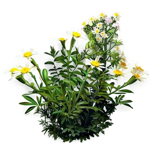 Wildflower Bush Png 05252024 PNG image