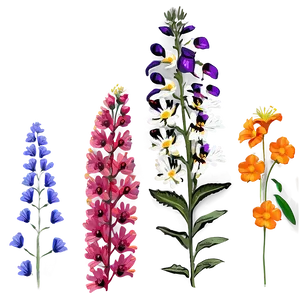 Wildflower Ecstasy Array PNG 25