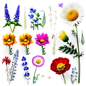 Wildflower Ecstasy Array PNG Erf94 PNG