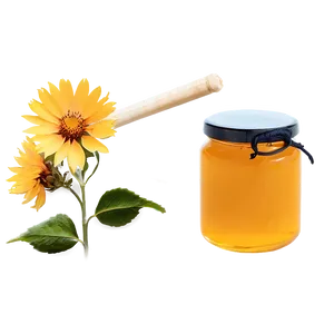 Wildflower Honey Png 60 PNG image