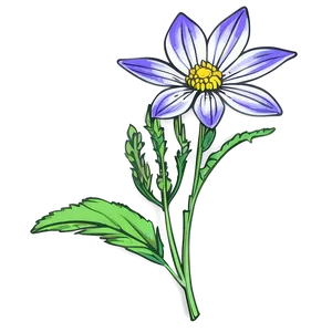 Wildflower Outline Sketch Png 05252024 PNG image