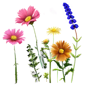 Wildflowers Against Blue Sky PNG Sco PNG