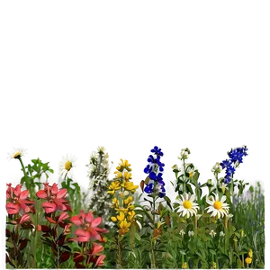 Wildflowers Field PNG 04292024