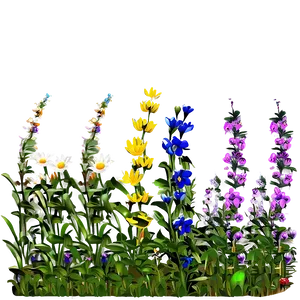 Wildflowers Field PNG Fxv