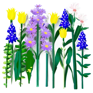Wildflowers In Bloom PNG 06202024