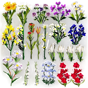Wildflowers In Bloom PNG 54